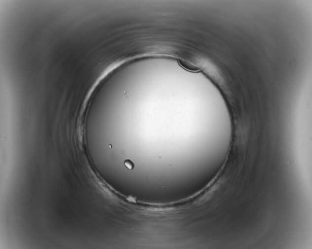 X0000086241284200704121927
