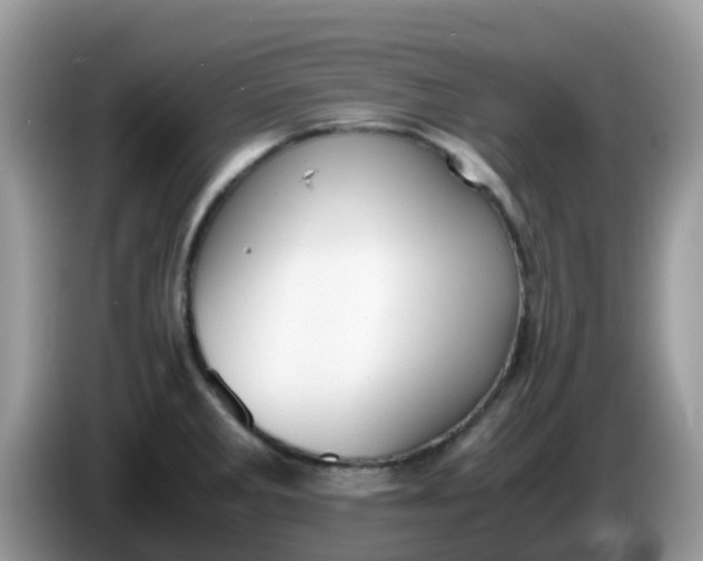 X0000086241285200704121927