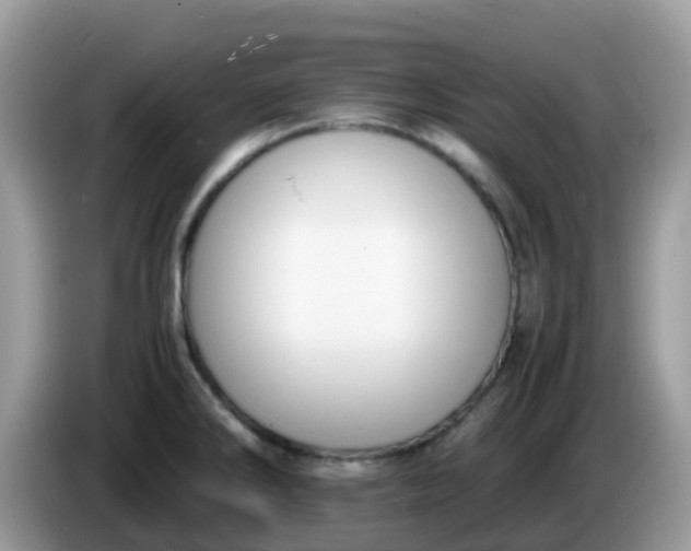 X0000086241286200704121927
