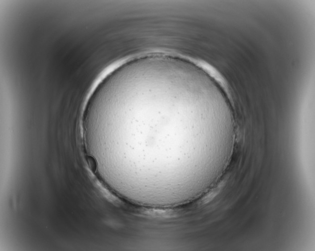 X0000086241287200704121927