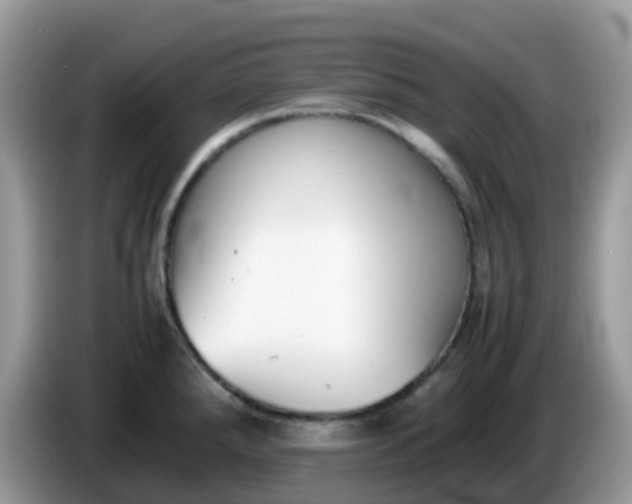 X0000086241288200704121927