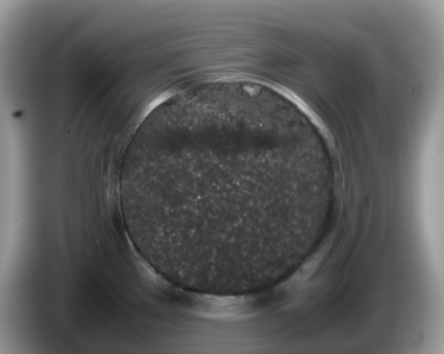 X0000086241289200704121927