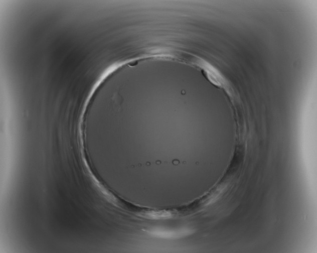 X0000086241291200704121927