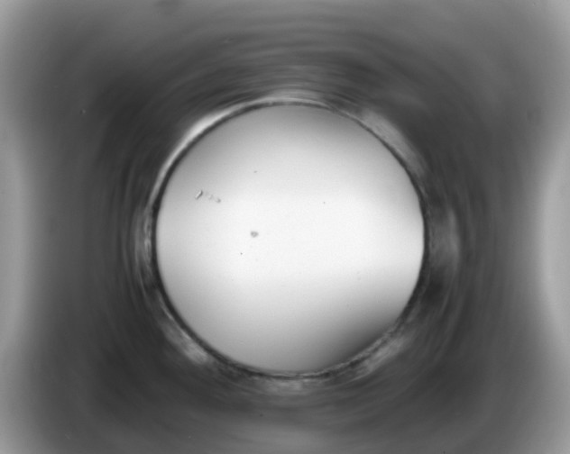 X0000086241292200704121927