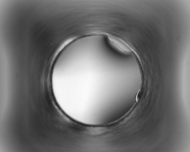 X0000086241293200704121927