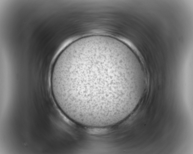 X0000086241294200704121927