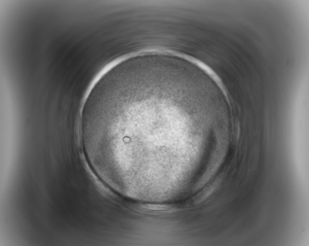 X0000086241295200704121927