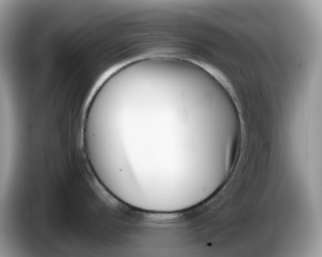 X0000086241296200704121927