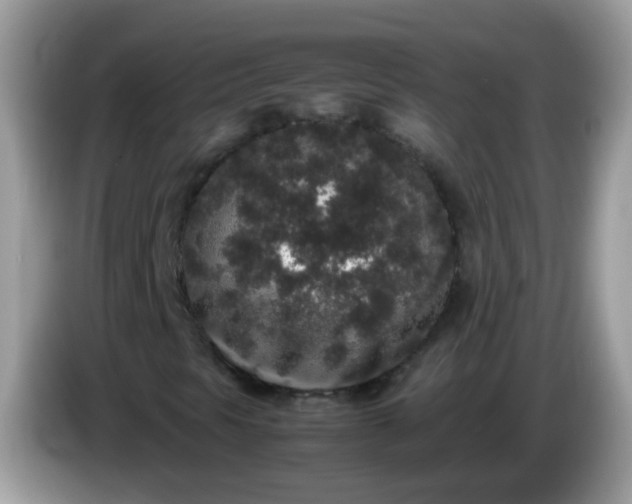 X0000086241297200704121926