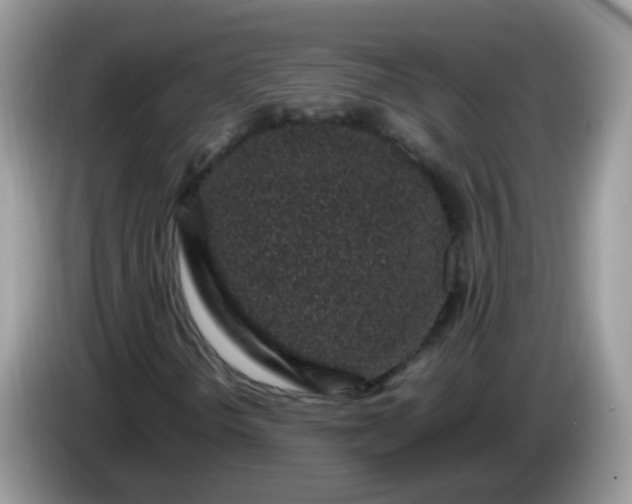 X0000086241298200704121926