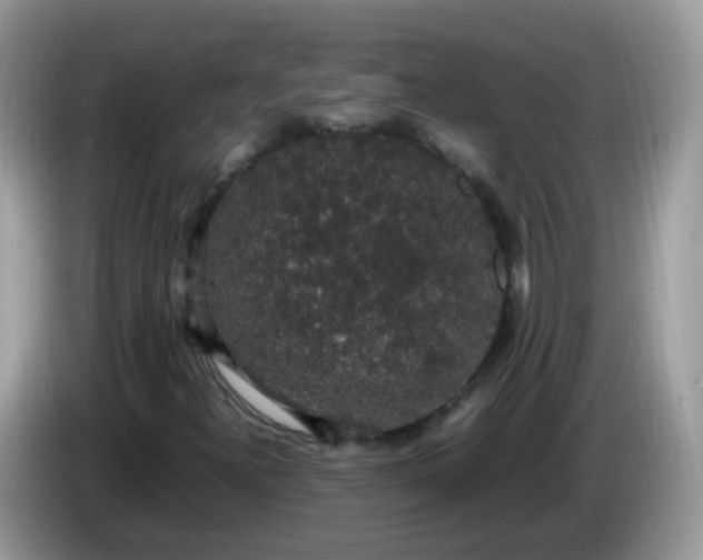 X0000086241300200704121926