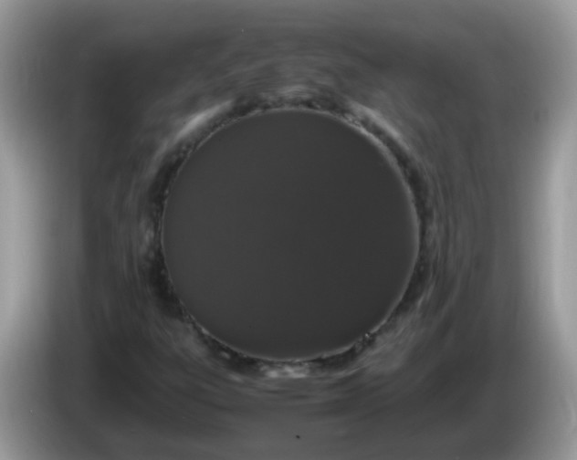 X0000086241303200704121926