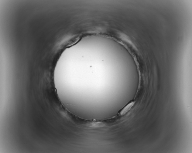 X0000086241304200704121926