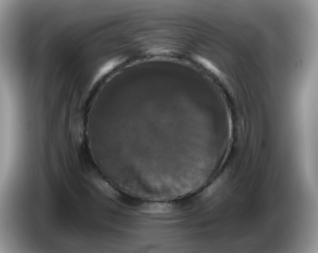 X0000086241306200704121926