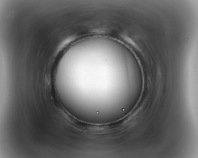 X0000086241307200704121926