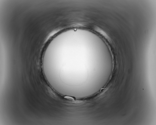 X0000086241308200704121926
