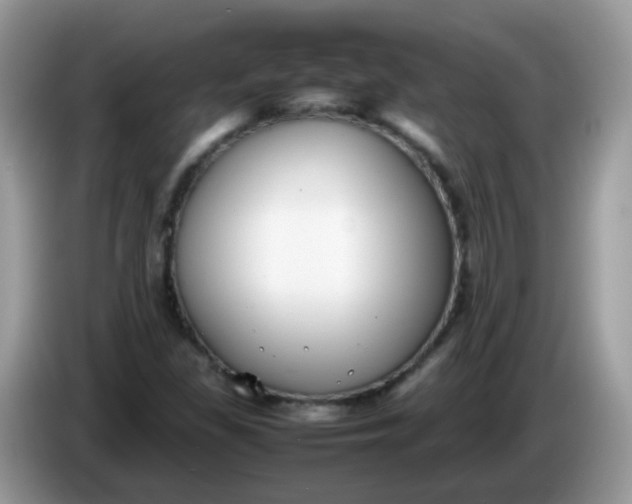 X0000086241309200704121926