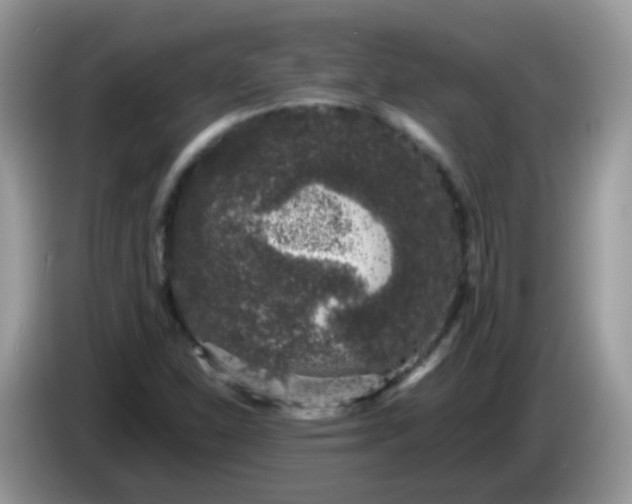 X0000086241310200704121926