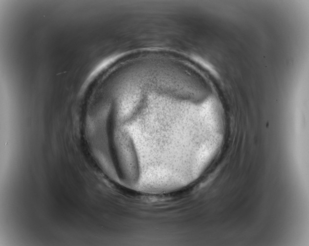 X0000086241311200704121926