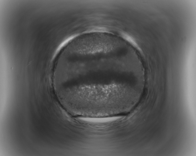 X0000086241312200704121926
