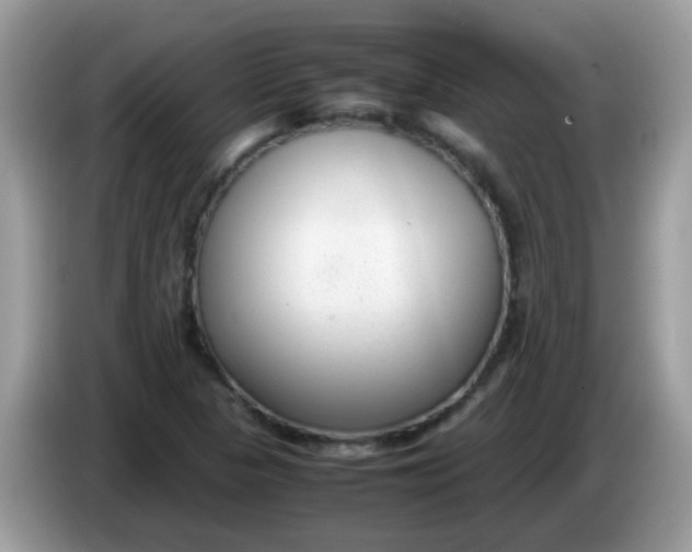 X0000086241313200704121926