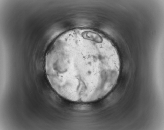 X0000086241314200704121926