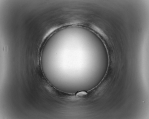 X0000086241316200704121926