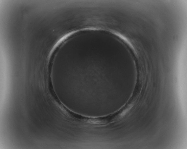 X0000086241319200704121926