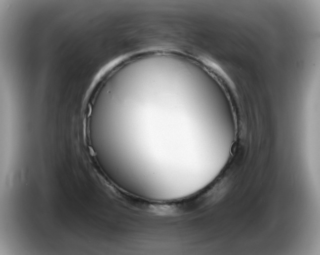 X0000086241320200704121926