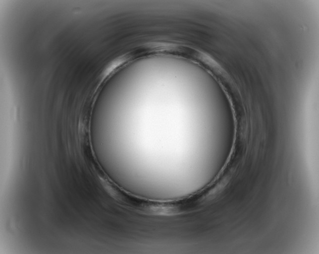 X0000086241321200704121926