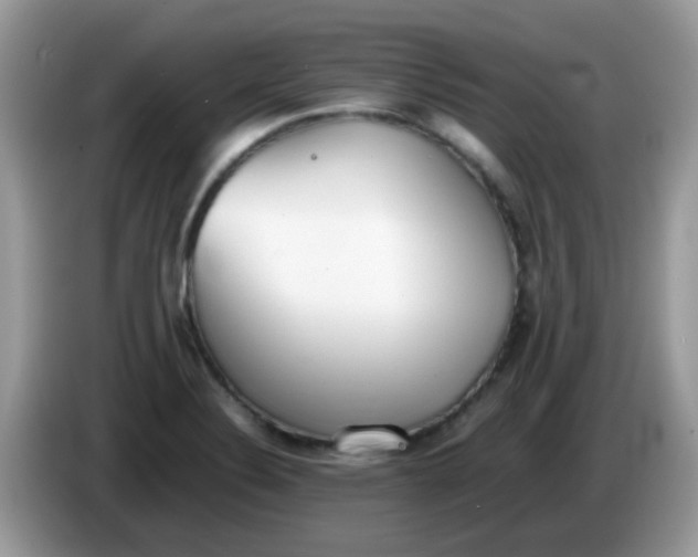 X0000086241324200704121926