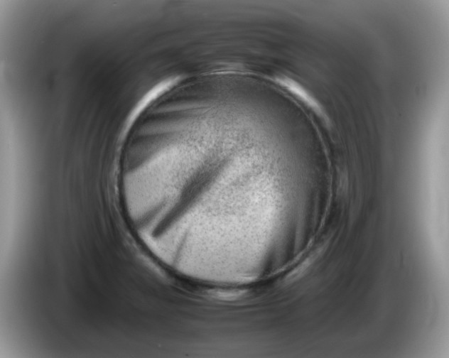 X0000086241325200704121926
