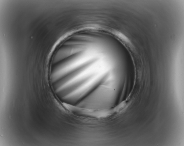 X0000086241326200704121926