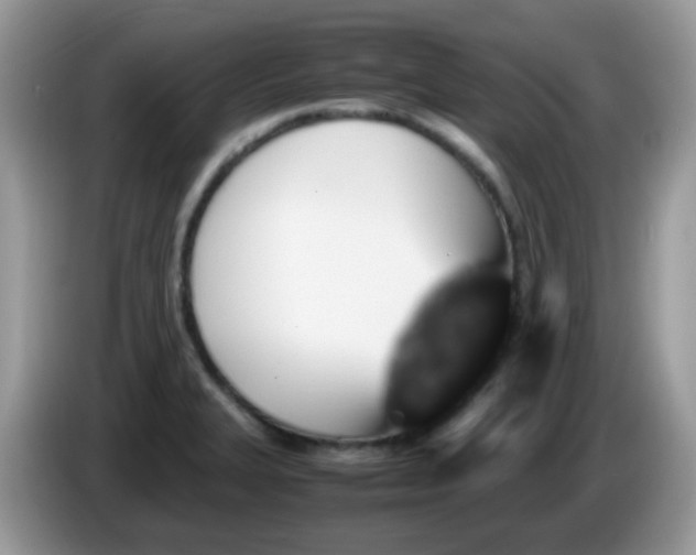 X0000086241327200704121926