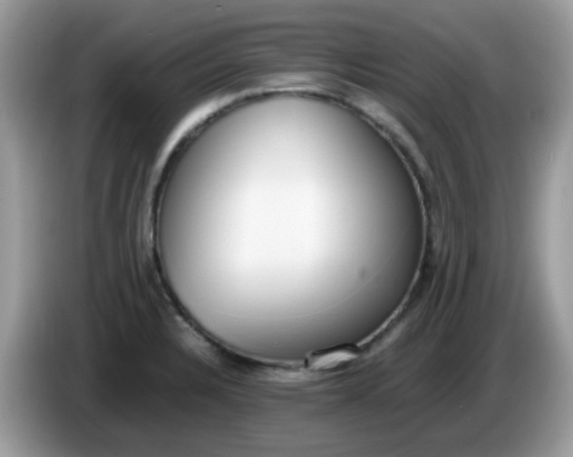 X0000086241328200704121926