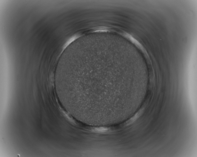 X0000086241329200704121926