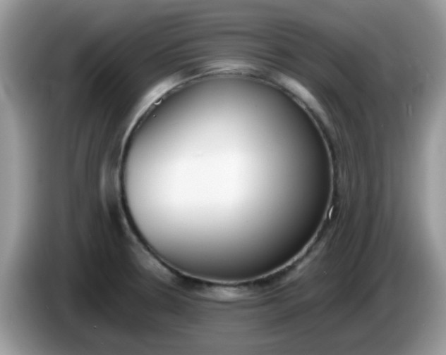 X0000086241330200704121927
