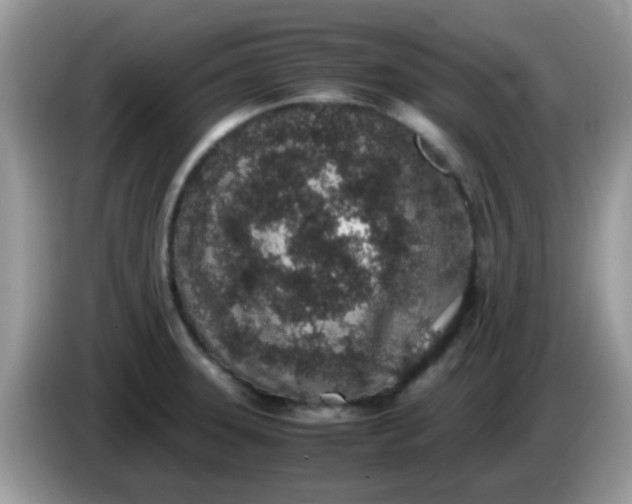 X0000086241331200704121927