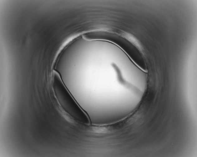 X0000086241332200704121927