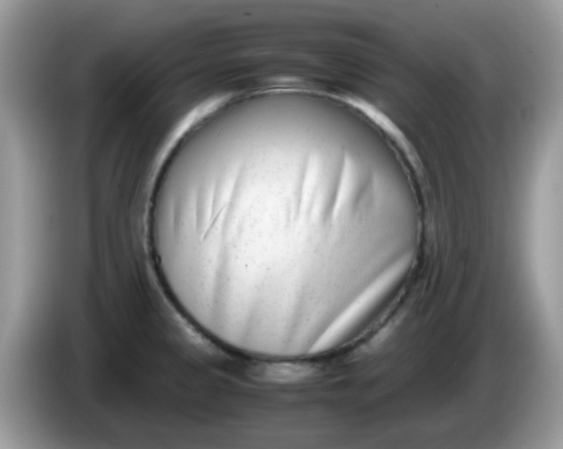 X0000086241333200704121927