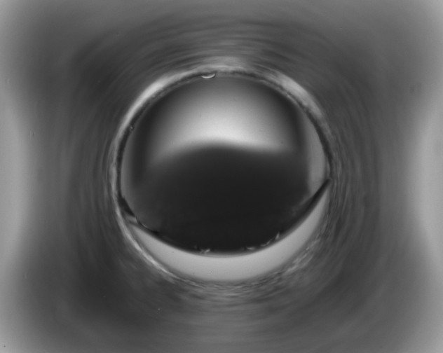 X0000086241334200704121927