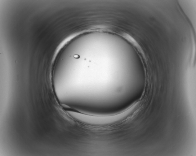 X0000086241336200704121927