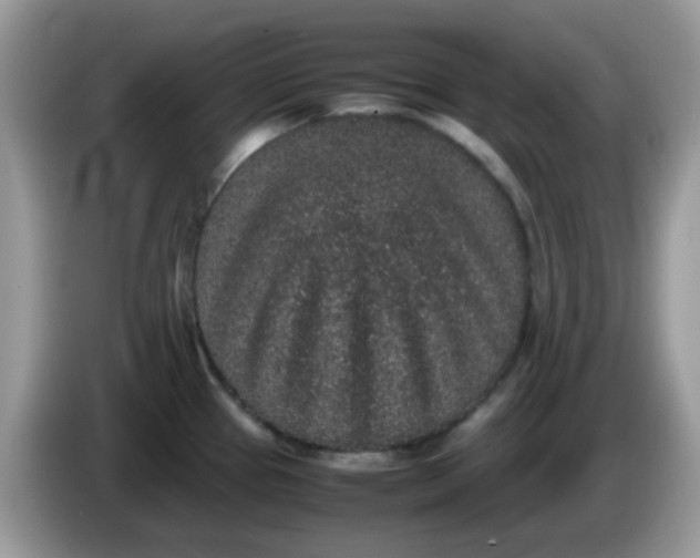 X0000086241337200704121927
