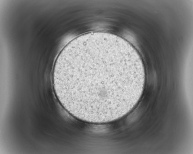 X0000086241338200704121927