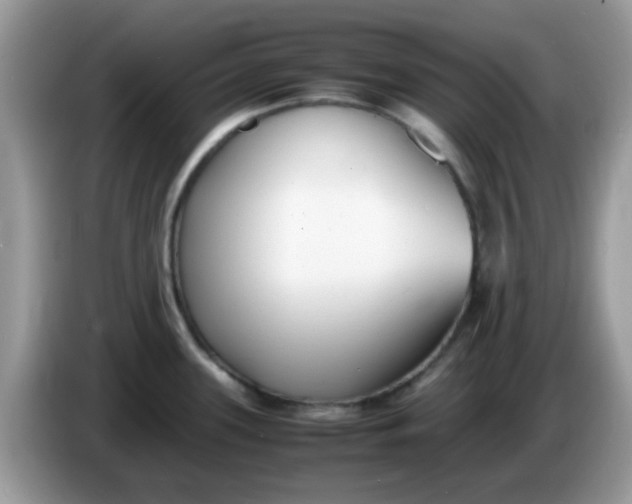 X0000086241339200704121927