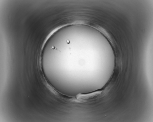 X0000086241340200704121927