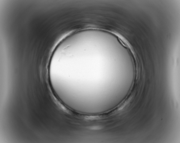 X0000086241341200704121927