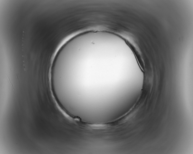 X0000086241343200704121927