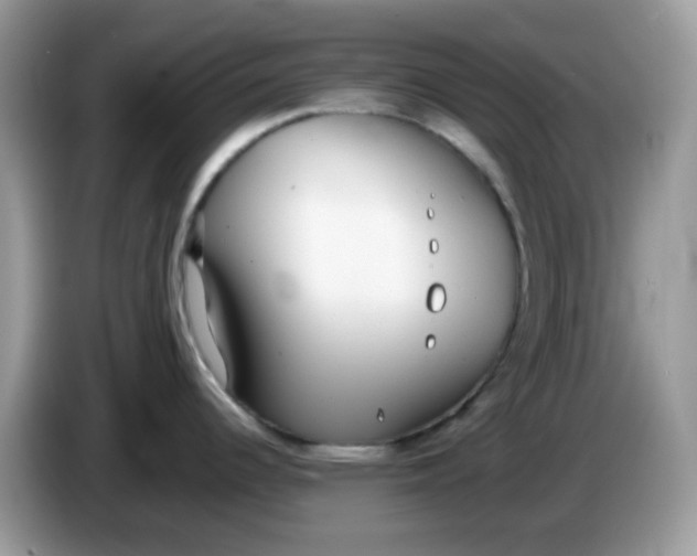 X0000086241344200704121927