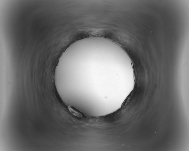 X0000086241345200704121926